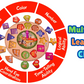 Toyjos Animal-Themed  multi skills Learning Clock: Time, Counting & Shape Sorter